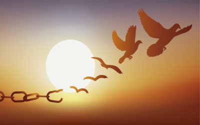 Healing is an experience, not a process Healing is an experience, not a process