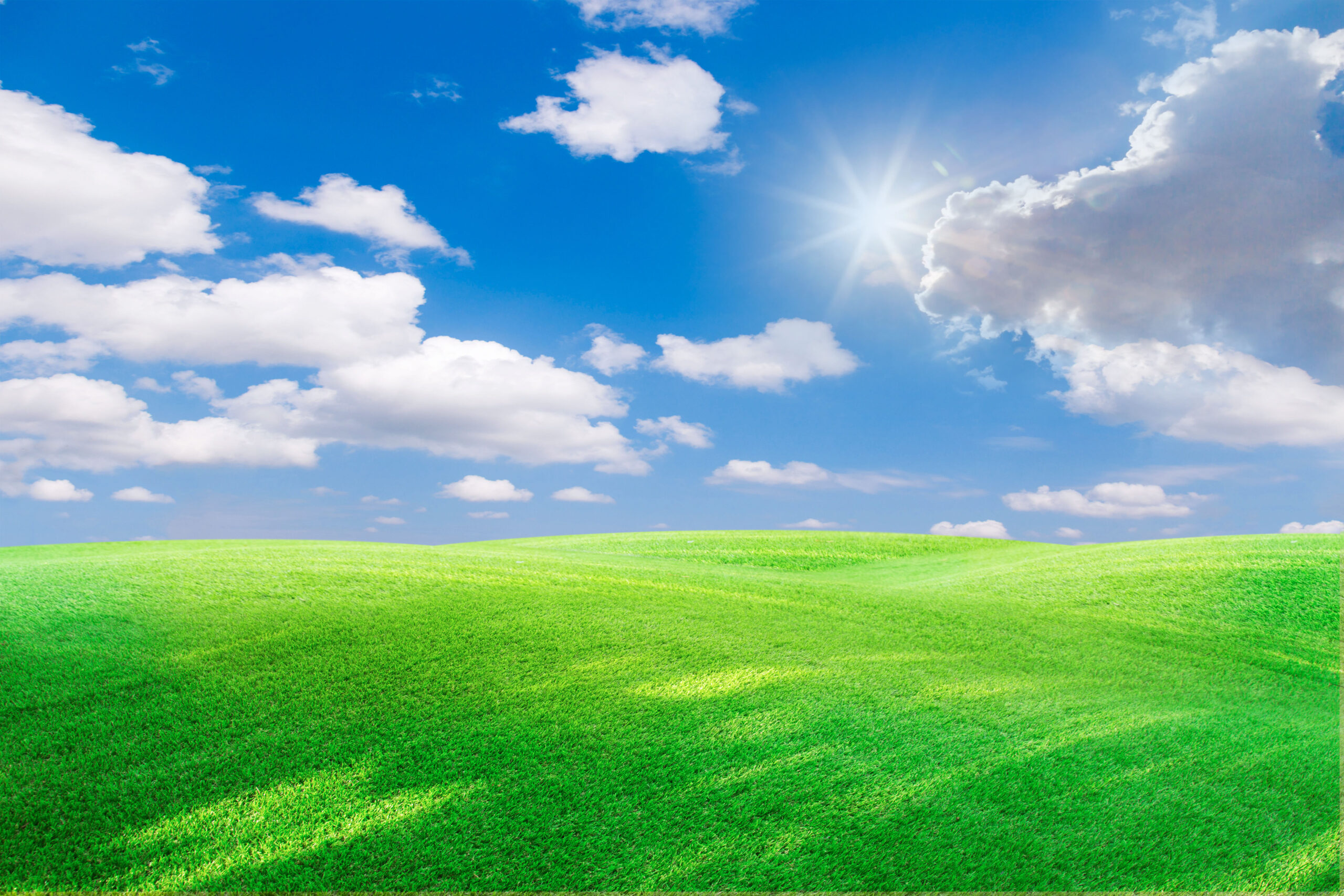 Blue sky with a green field